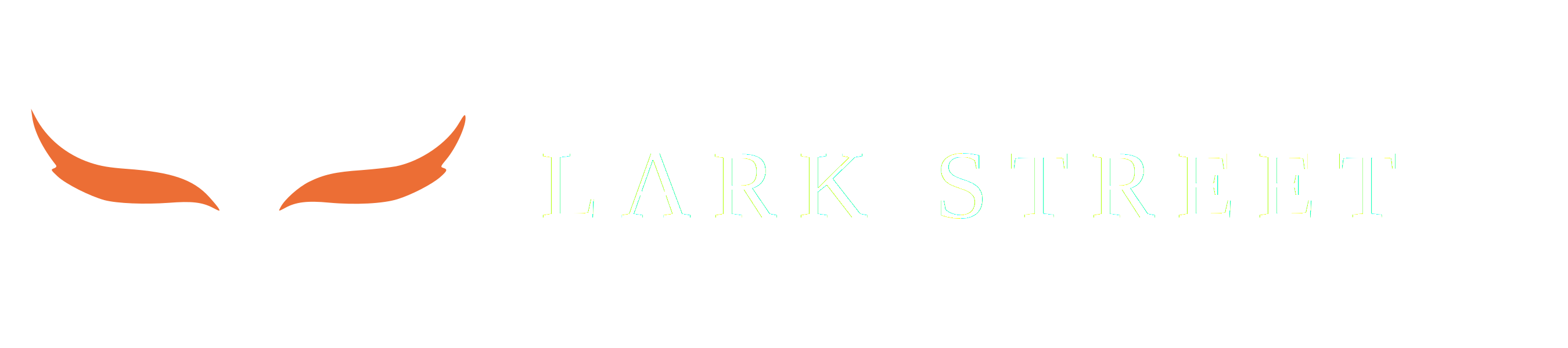 Lark Street Capital